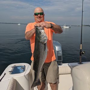 Meet your Posher, Richard